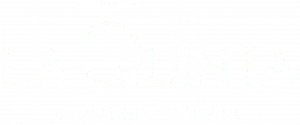 [company_name_branding] logo oficial